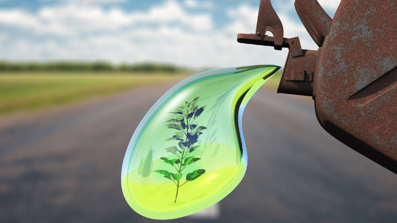 Fernando Trabach Filho destaca que los biocombustibles como el etanol y el biodiésel son claves para la sostenibilidad y la autonomía energética del país.